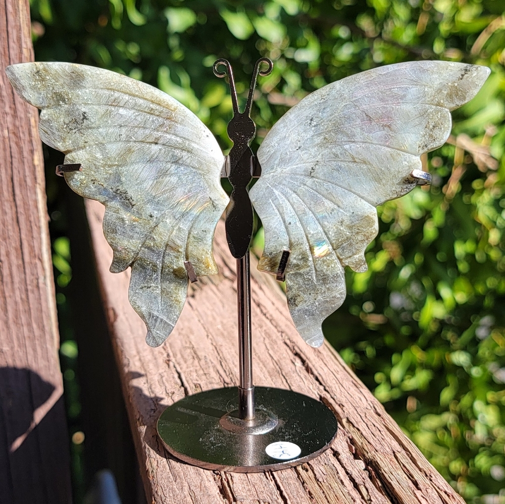 (H) NEW 5.25" x 4.75" LABRADORITE WINGS